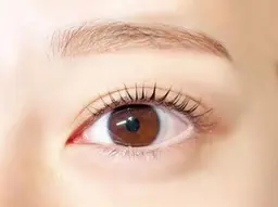 最高級セーブル120本　オフ込