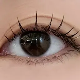 フラットラッシュ上のみ150本