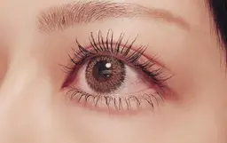 まつげパーマ✨上のみ