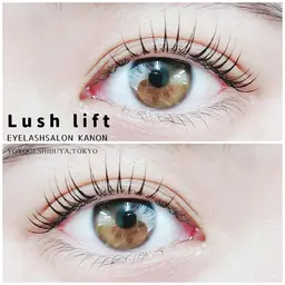 20代限定 まつぱorまつえく+ ﾊﾘｳｯﾄﾞﾌﾞﾛｳﾘﾌﾄ/眉毛ワックス　2回目以降は+8200円