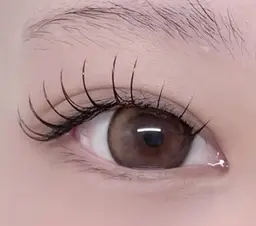 🎀Jr eyelist 🎀マツエク付け放題120本まで💛(オフ無し)