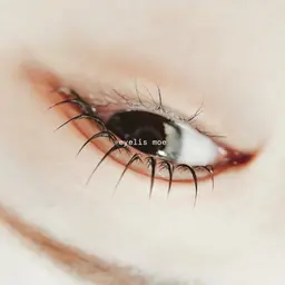 ▫️【 新規限定 】  パリジェンヌラッシュリフト(上) or ラッシュリフト(上)