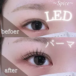 【束感・濃さ・モチUP⤴⤴🌷】まつげLEDパーマ✨（エクステオフなし）※補足説明お読みください🙇