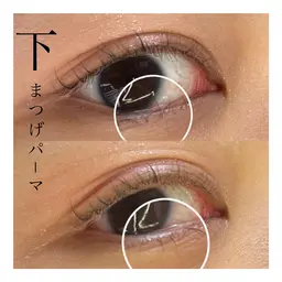 【単品】下まつげパーマ