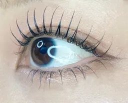 【minimo限定価格！】大人気💐パリジェンヌラッシュリフト🌟