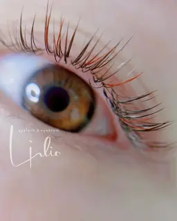 フラットラッシュ【カラーエクステ】上つけ放題