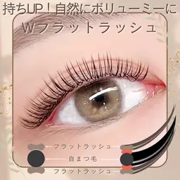 Wフラットラッシュ60束(シングル120本相当)✨強化コーティング仕上げ付き💖 【⚠️リピーターは¥6,000‼️】