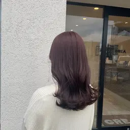 《ヘッドスパ🌼》3つの種類の中からお選びいただけます🦕