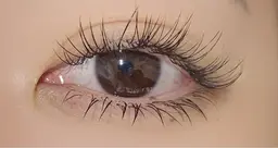 【期間限定🫧】LED下まつ毛エクステモデル✨時間内に付けれるだけの本数になります👀