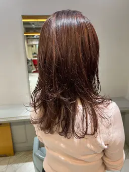 🌟水・日曜日限定💫ブリーチハイライトWカラー【ハイライトWカラー➕シャンプーブロー】