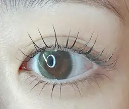 🌸【新規/練習モデル】🌸   👀パリジェンヌラッシュリフト(上下)＋眉毛WAX🐻💗