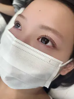 まつ毛パーマ上(まつげエクステオフなし)
