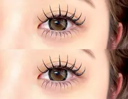 フラットラッシュ80本コーティング付