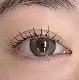 当日割引💫 Lash lift🫧 ¥7,700→¥3,000 ※写真撮影必須