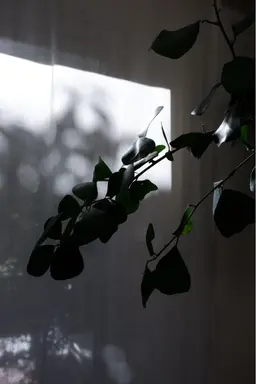 men's 🚹 パーソナルカラー診断◇データ特典付き🪄🪄セカンドカラー診断・ベーシックカラーのご提案