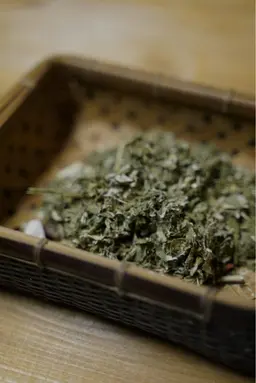 無農薬国産よもぎ蒸し🌿デトックス×癒やし効果