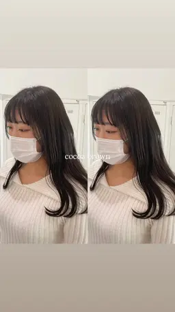 1番人気メニュー✨ 【💞メンテナンスカット×ワンカラー×プチトリートメント💞】