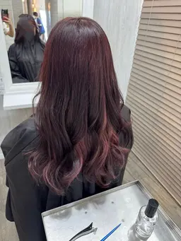 １２月🎄🎅平日のみ！期間限定✨🧡🐱ワンカラー➕トリートメント🧡１７時​〜​