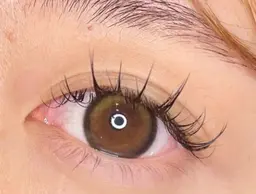 ⭐️今話題⭐️ワンホン(網紅)デザイン100束🇨🇳【束感まつ毛/漫画マツエク】初回オフ無料🐼120束¥8900