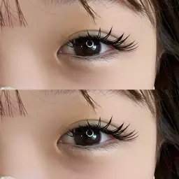 🦋フラットラッシュ つけ放題 アイシャンプー付き (最大200本,オフ込み,コーティング束感仕上げ)