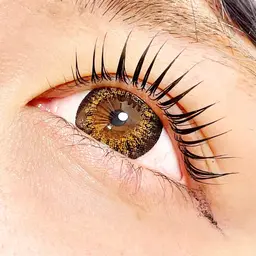 【OPEN記念】ラッシュリフトorパリジェンヌ＋アイブロウWAX ¥9800　[池袋]