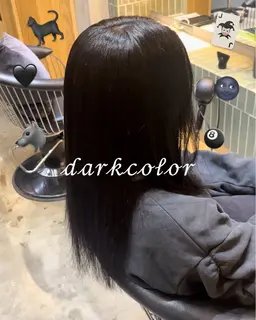 ワンカラー+トリートメント