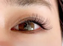 【限定価格☆】LEDフラットラッシュ100本​〜​140本☆