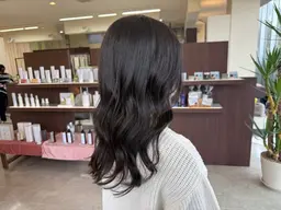 ワンカラーモデル