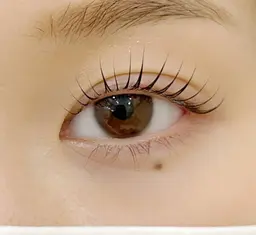 12/15限定🤍トリートメント付きまつ毛パーマ☆🙇♀️10分前来店をお願いします。