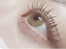 【平日限定】まつげパーマ　￥3,960 🫧