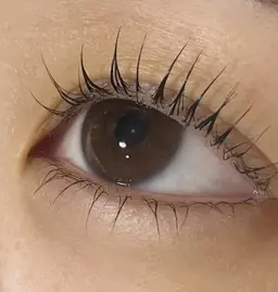 【🩵ミニモ特別価格】上下まつげパーマ🎀コーティング付き✩.*˚