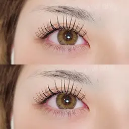 フラットラッシュ🌻80本