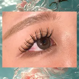 ダブルフラットラッシュ　120束