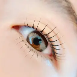 上下まつげパーマ