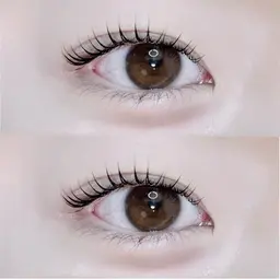 【✨3/27空き有🈳✨】🎀ご新規様限定🎀潤いまつ毛パーマ(コーティングお仕上げ付き)