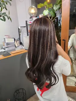 カット　スペシャルハイライト