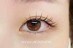 ✨️🌸圧倒的！人気&リピートNo1🌸✨️《似合わせまつ毛に♪》パーソナルラッシュリフトorパリジェンヌ