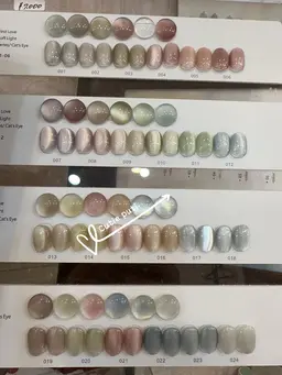 平日限定⚜️ぷるんマグネット　6000➡️4000