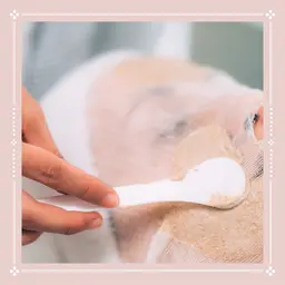 【リフトアップ／うるおい】プレミアムグロウ石膏パックコース70分