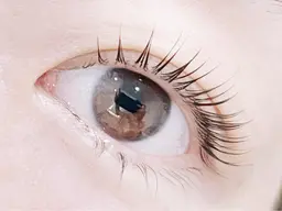 ※🌈【ミニモ学割U24】まつげパーマ🌈3種のトリートメント＆アイシャンプー付き★デザイン選べます¥4900