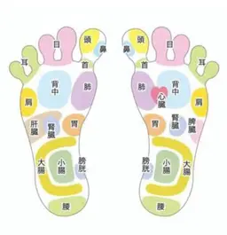 （足ツボ60分）or （足ツボ30分➕脚リンパ30分）