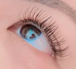 【ご新規様オフ無料】フラットマットラッシュ付け放題/本数上限なし