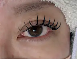 バインドロック120束※日時指定あり ⚠️補足説明確認お願いします!