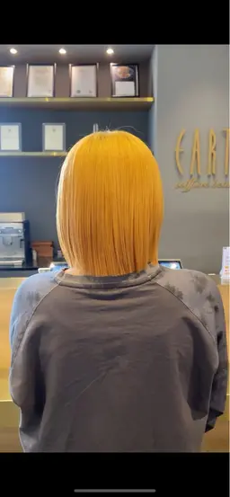 フルブリーチ•フルカラー