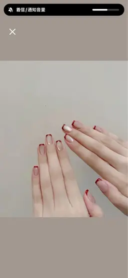 フレンチ(1色)+ ベース（1色)