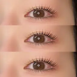 【29日限定】パリジェンヌラッシュリフト🪄✨