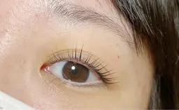 （上のみ）パリジェンヌラッシュリフトorラッシュリフト