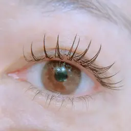 【オフ無料】フラットセーブル　シングル80本❤️