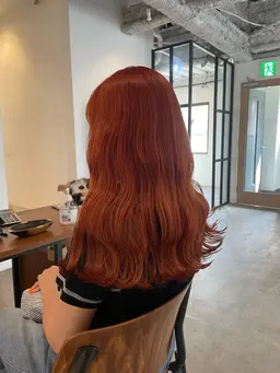 【当日限定】艶ワンカラー🦢🦢＋2ステップトリートメント