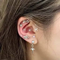 🈳あり💎耳ツボジュエリー💎14個まで